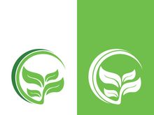 Green tree leaf nature logo images illustration design