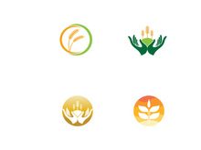 Wheat or cereal logo, wheat field and wheat farm logo.With easy and simple editing.