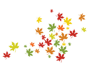 Maple Leaf design illustration preview picture