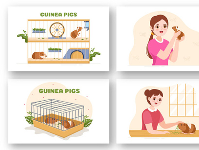 10 Guinea Pig Pets Illustration