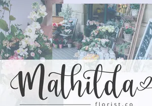 Berthalisa - Modern Calligraphy Font