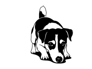 Silhouette of a cute black and white dog crouching down preview picture