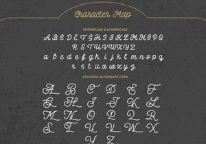 Dattge Hurty - Monoline Retro Script Font