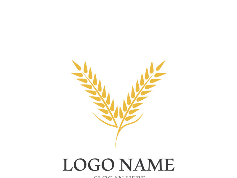 Wheat logo vector icon illustration design