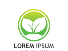 Natural green leaf logo.