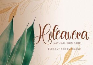 Dilan Whemsy - Modern Script Font