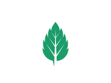 Mint Leaf icon template illustration