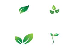 Natural green leaf logo