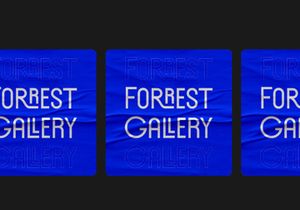 Forrest Gallery Modern Display Font
