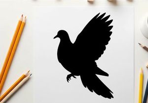 Silhouette of a bird in flight with wings spread wide