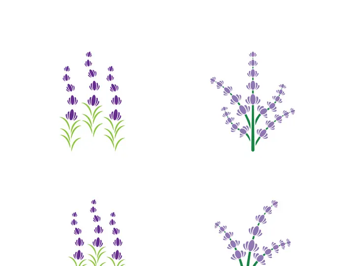 Lavender flower vector icon illustration design template