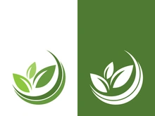 Logos of green tree leaf ecology nature element vector