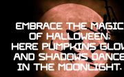 Pumpkin Seamless - Playful Sans Serif