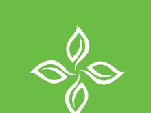 Leaf logo green nature vector image
