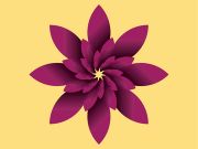 Elegant Flower design in Adobe illustrator
