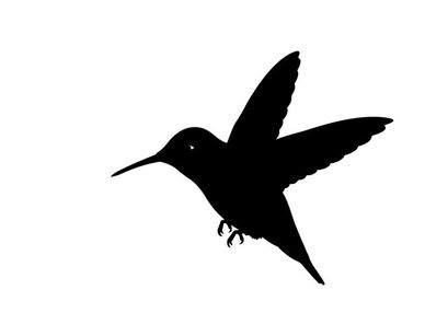 Silhouette of a hummingbird in flight against a white background
