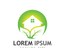 Natural green leaf logo.