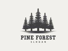 Forest Logo, Vector Forest Wood With Pine Trees Design