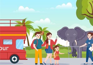 10 Travel Guide and Tour Illustration