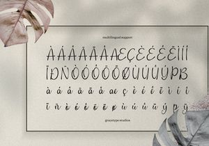 Cafricot Lissendra | Script Handwritten