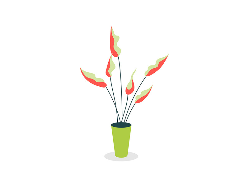 Indoor plant flat color vector object