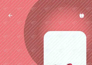 Drinkes - Order drink Mobile App UI Kit