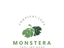 Monstera deliciosa leaf nature logo design, flat plant icon design illustration template