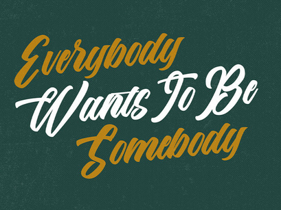 The Anthelope - Retro Bold Script Font