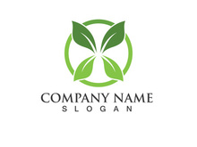 Eco Energy Vector Logo with leaf symbol. Green color with flash or thunder graphic. Nature and electricity renewable. This logo is suitable for technology, recycle, organic.