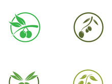 Branched olive fruit logo with creative idea.