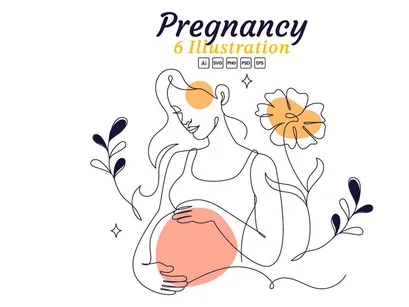 6 Pregnancy Vector Illustration