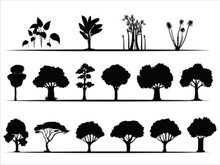 Trees Silhouettes Collection