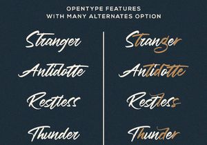 Haredang - Bold Script Font