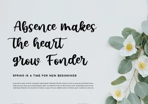Sunshine - Script Font