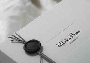 Moonlit Muse | Handwritten Script Font