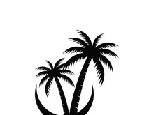 Palm logo icon template and symbol vector tree design