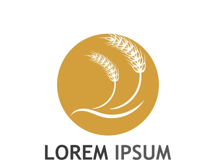 Organic wheat farm logo template.