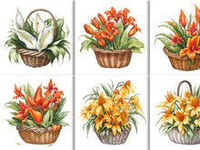 Watercolor Floral Flower Basket Design