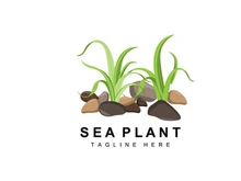Seaweed Logo, Sea Plants Vector Design, Grocery And Nature Protection