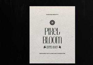Brunelis Noctelle | Display Serif Font