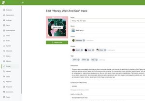 MusicPulse v1.0 - Music Streaming Engine