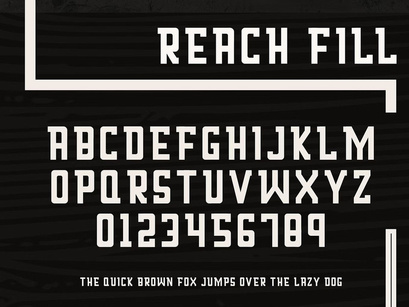 Reach Display Font Family