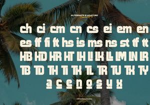 Fredoka Summer | Bold Display Sans