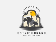 Ostrich Logo Design, Desert Animal Illustration