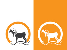 Goat logo template vector icon illustration design