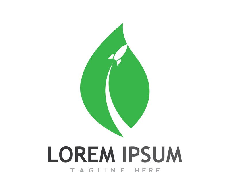 Natural green leaf logo design.