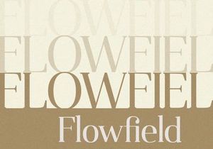 Qualifies - Serif Font