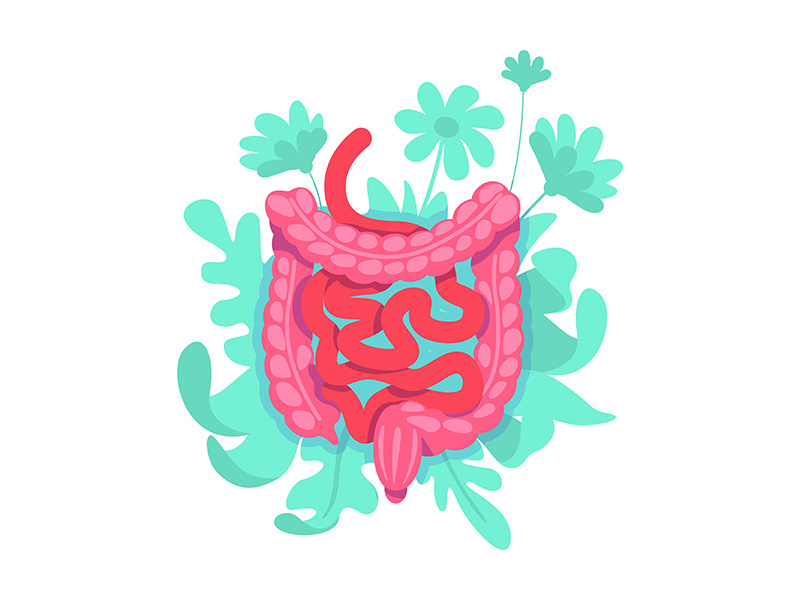 Large intestine flat concept vector illustration