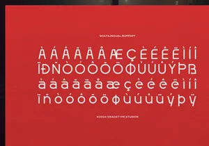 Fingard | Display Sans Serif
