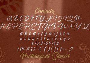 Angelicy - Textured Brush Font